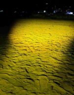 RYMAX D5 Fog Light - Image 6