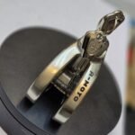 Golden Disc Lock - Image 10